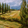 Tuscan Landscape